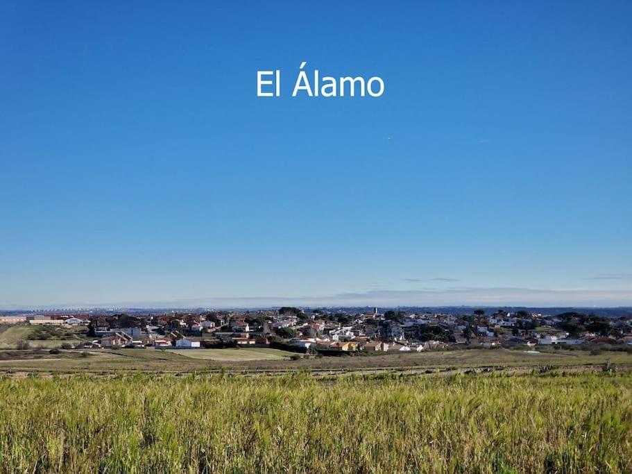Primera Planta Completa, El Álamo المظهر الخارجي الصورة